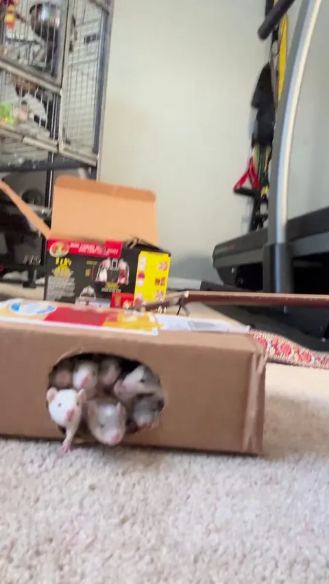 A box of cute. Baby update