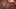 There's a place for you~ [FF] (foggy_capybara, Furlough Games)
