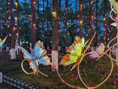 I randomly found Nanjing’s Qinhuai Lantern Festival, and it was breathtakingly beautiful