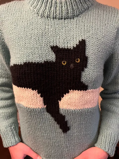 I put my cat on a sweater