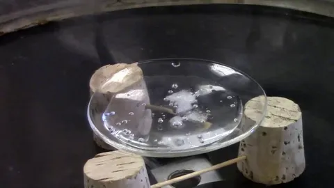 This is the triple point of water where it melts, boils, and freezes at the same time. It occurs at 0.01°C and 611.657 pascals, where all three phases of water coexist in perfect equilibrium