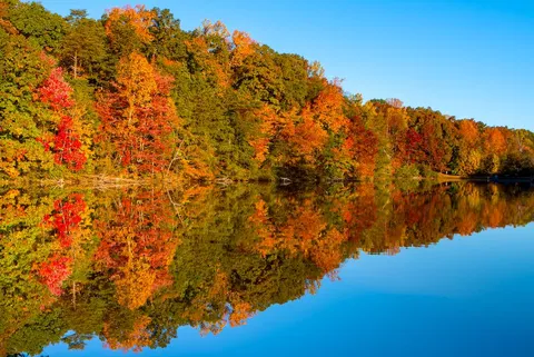 Fall Explosion over the Lake, Country Park, Greensboro NC USA [OC] [1000x669]