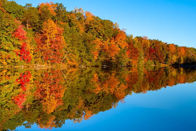 Fall Explosion over the Lake, Country Park, Greensboro NC USA [OC] [1000x669]
