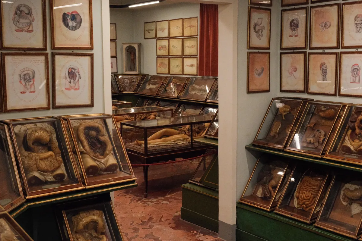 Our trip to Florence last week