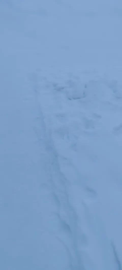 This is how - 50° looks like in Russia.