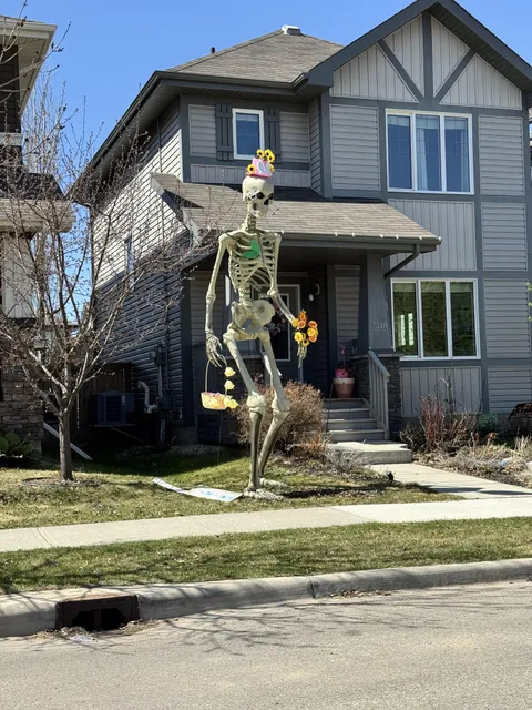 [OC] My neighbour getting their moneys worth out of their Halloween decorations still.
