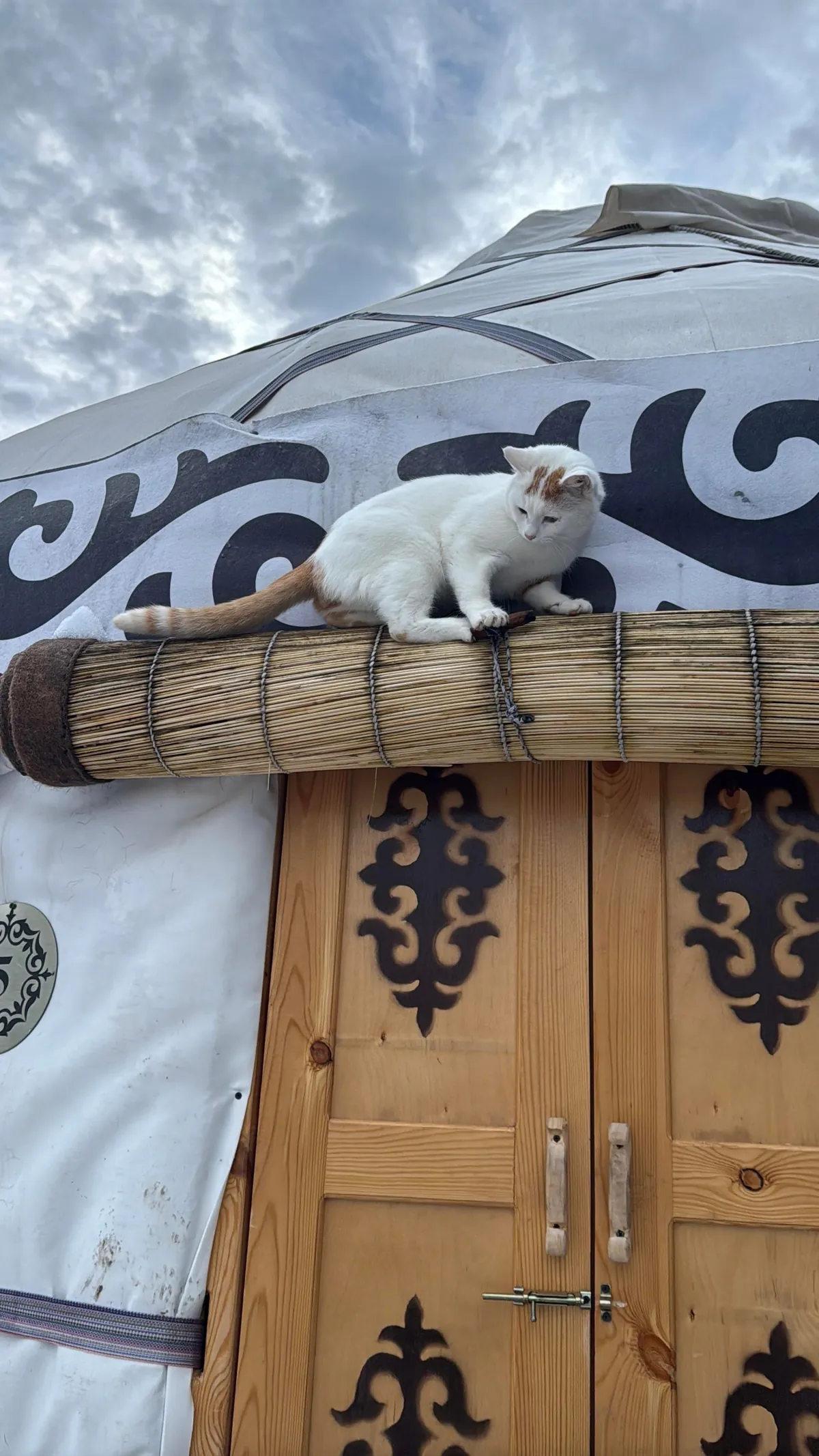 Almaty, Kazakhstan (2025)