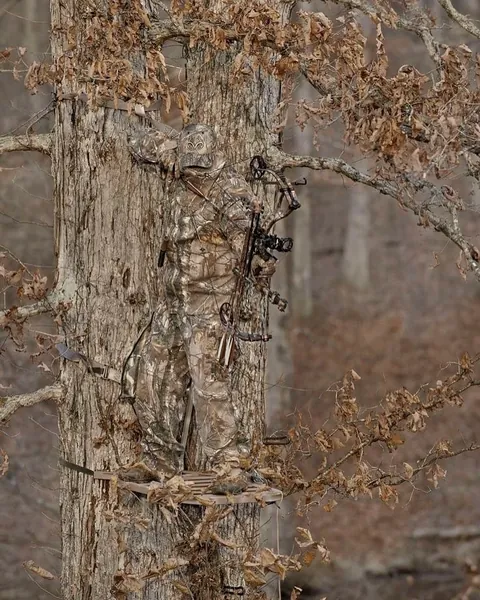 The effectiveness of camouflage 