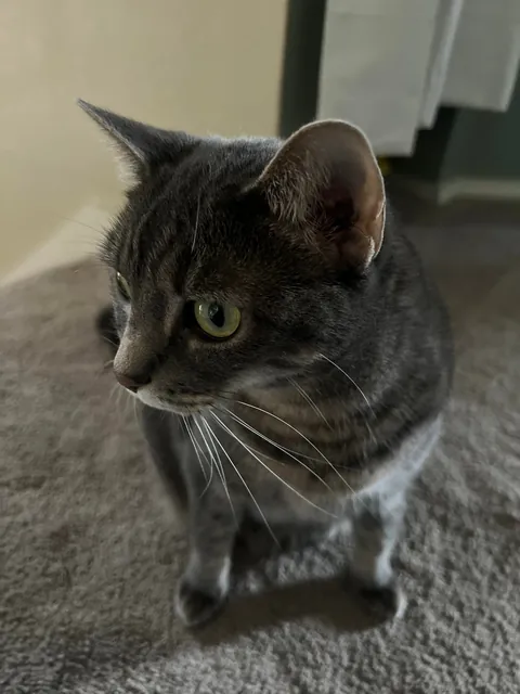 Everyday I wonder how I’m her 5th owner