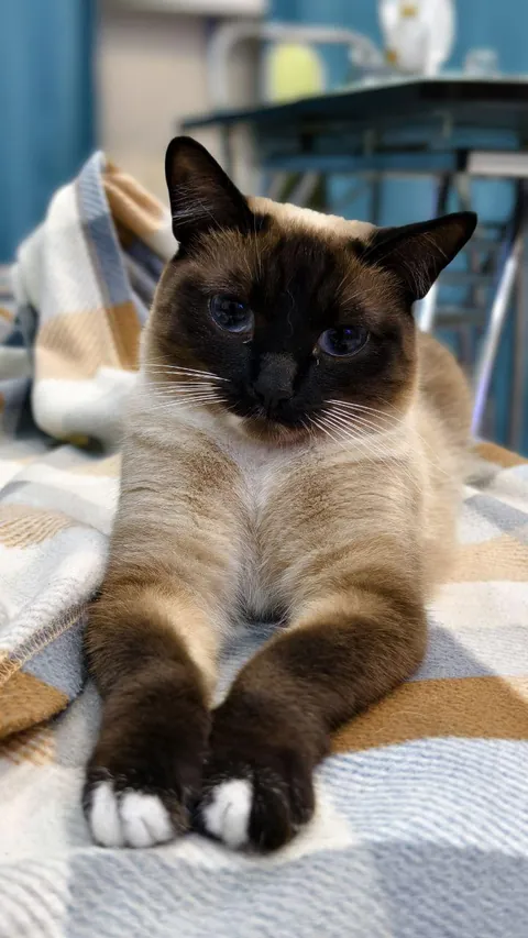 I wish I were as photogenic as she is