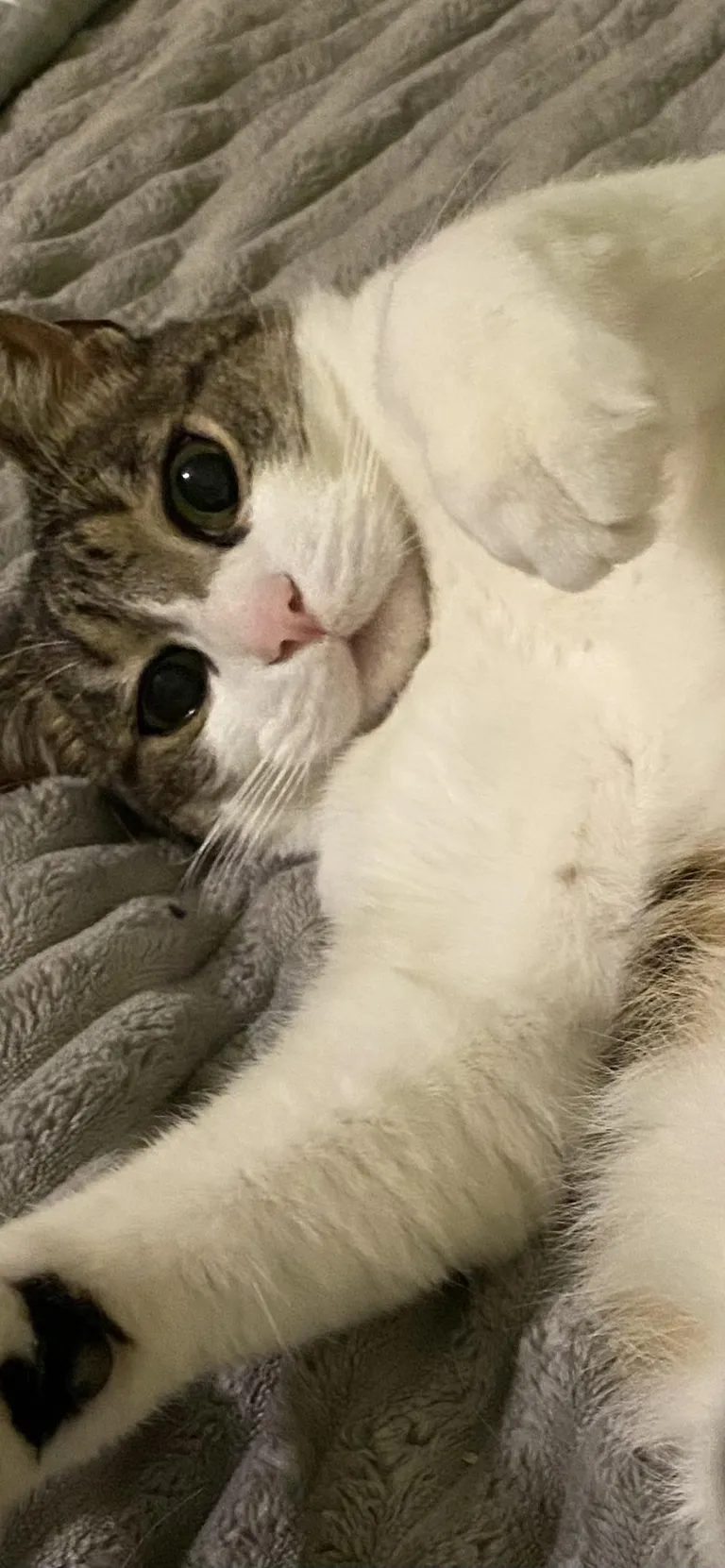 My old man, every day that passes I love him more