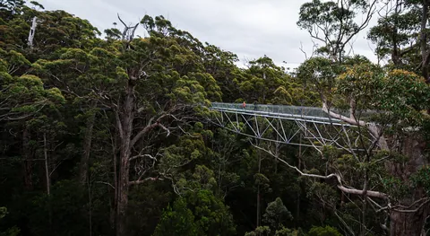 2 1/2 weeks in Western Australia