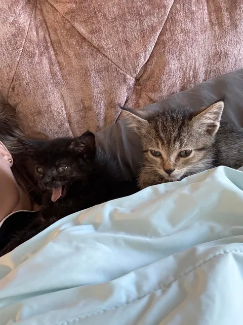 From 6oz to fat ❤️