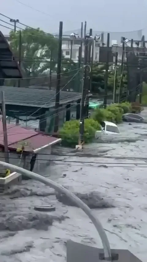 Woman stuck in a flood