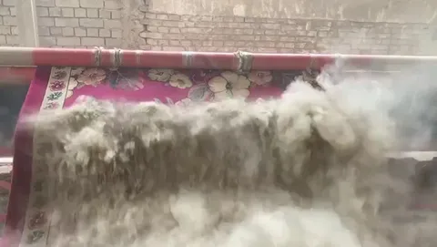 Whipping carpet out of dust