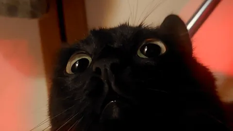 Upstairs noise detected!