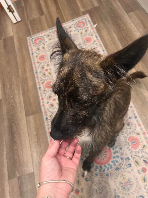 Gary’s ear tufts- why does he have them? I welcome both stupid and non-stupid answers