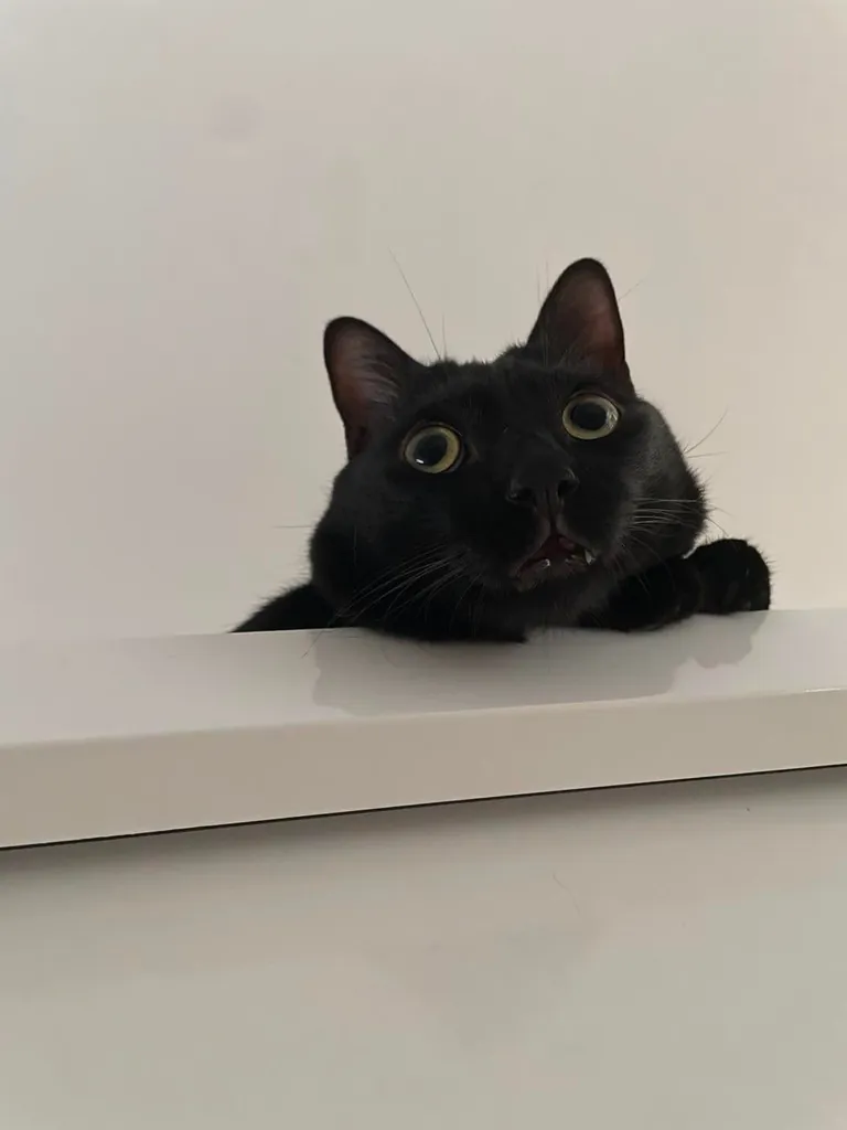 No thoughts, just void