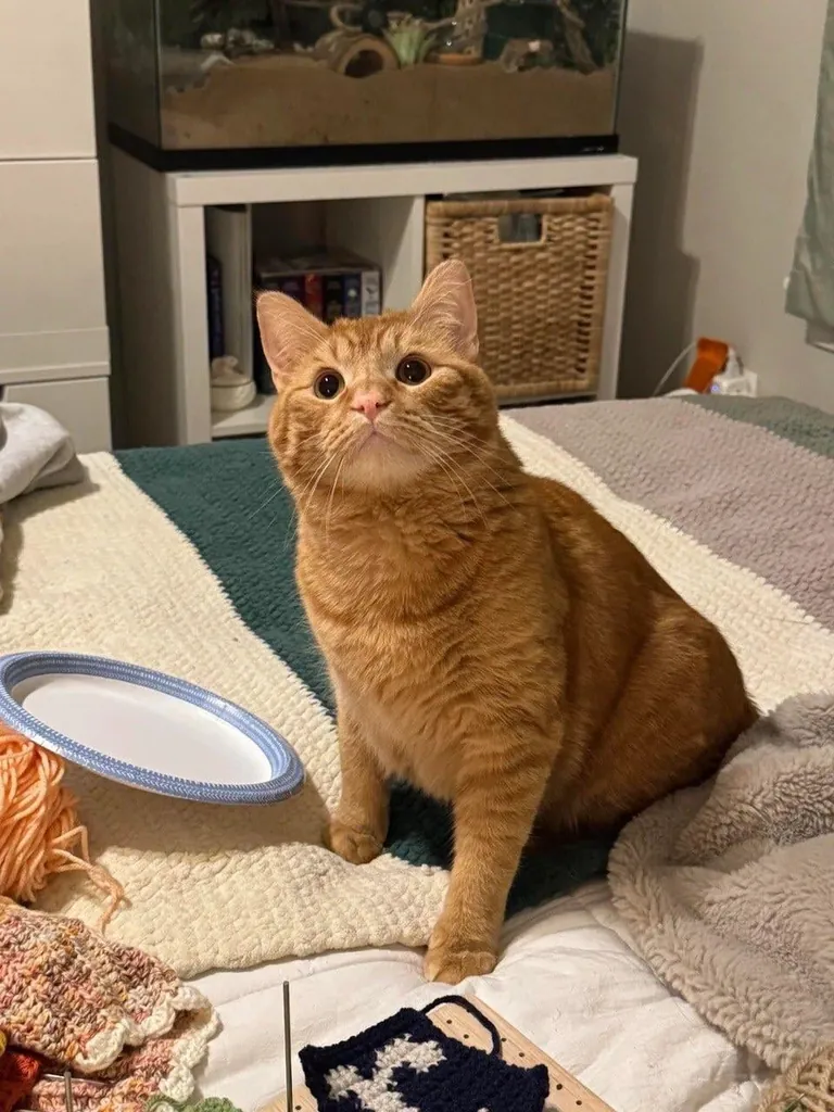 I’m going to cry why is he so cute