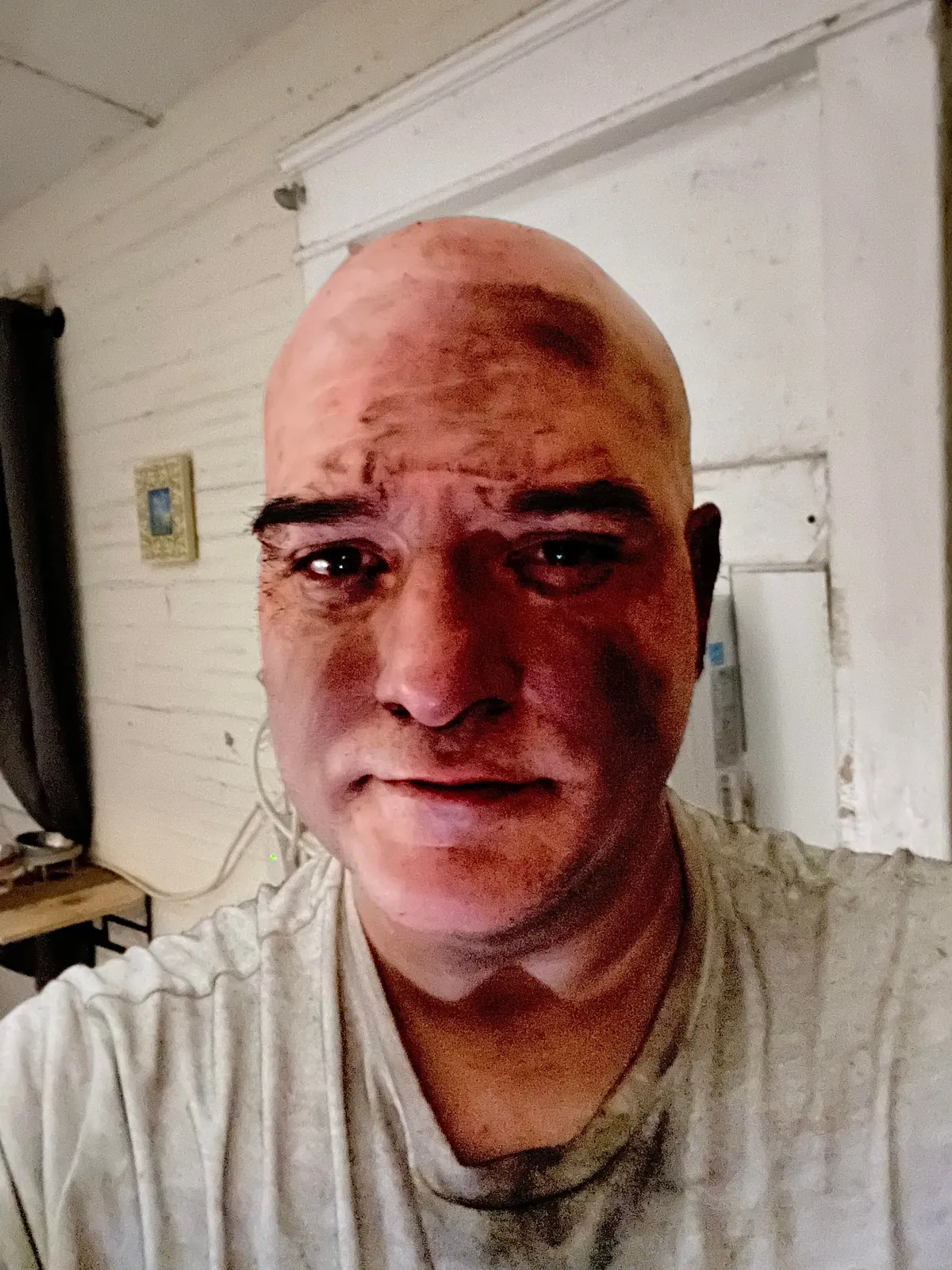 Last Sunday my cats may have saved everyone in my apt bld.