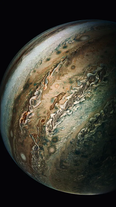 The Dolphin on Jupiter