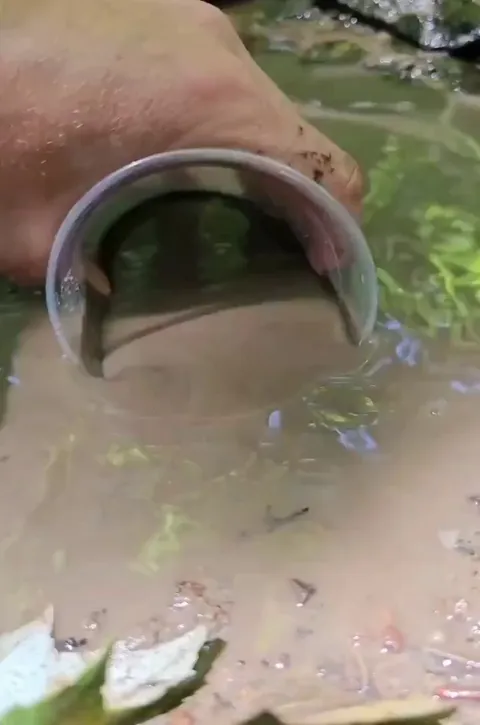 Filtering water using gravity and a paper towel