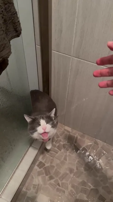 I don’t think she knows she’s a cat