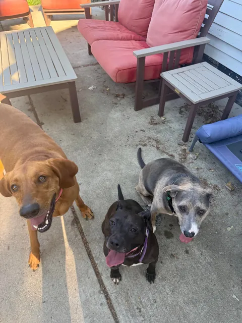 One last Waffles update here!🩷