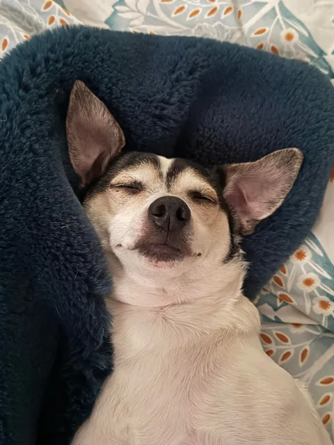 I look up from my phone to see Milo airing out his peets