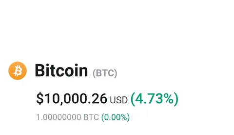 Ladies and gentlemen, $10,000 = 1 Bitcoin once again.