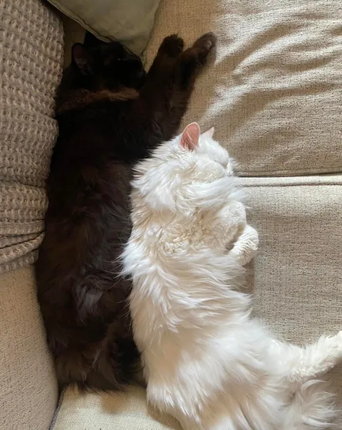 My Void with his Cloud 