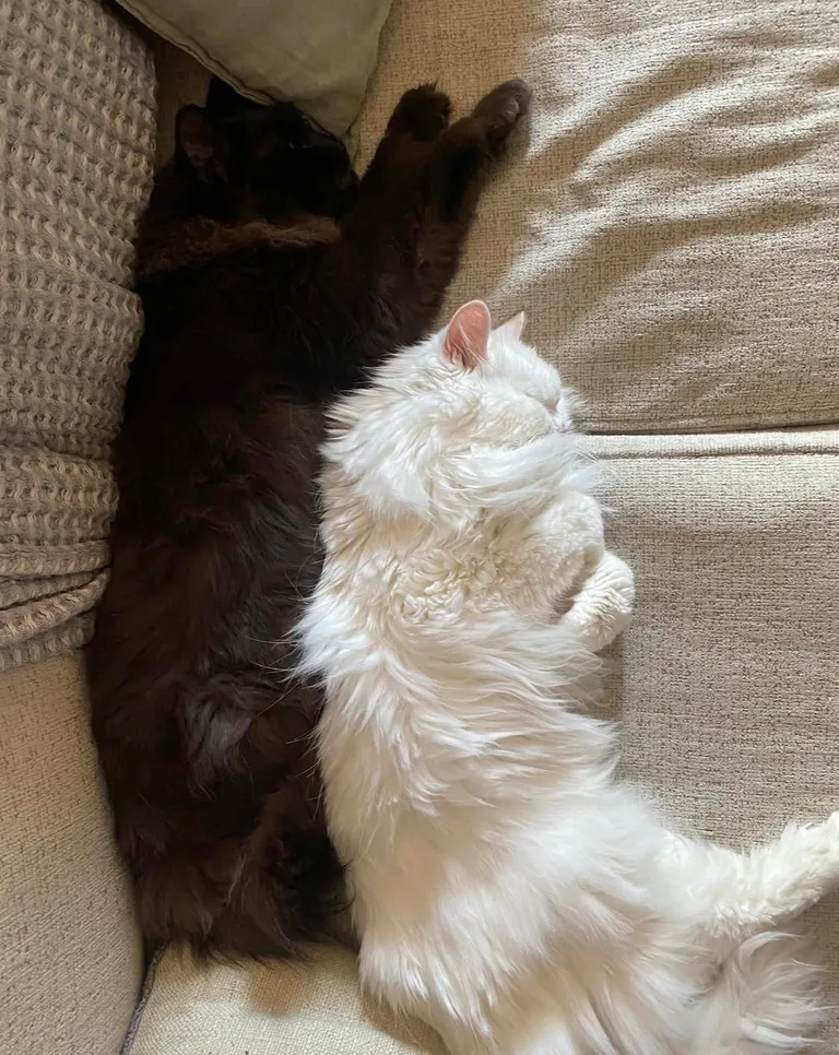 My Void with his Cloud 