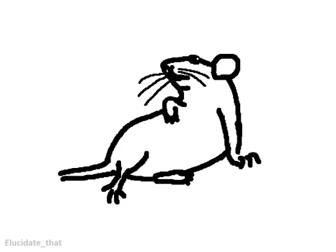 If the election is stressing you out, here are more drawings of some of your goofiest rats
