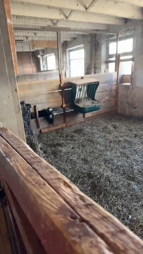 Bruh chewed through his pen just to yell at me 