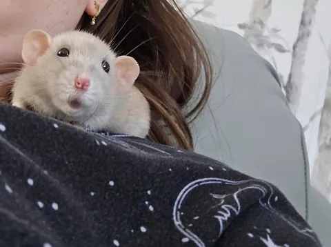 Doby is 2 years old today!!!!