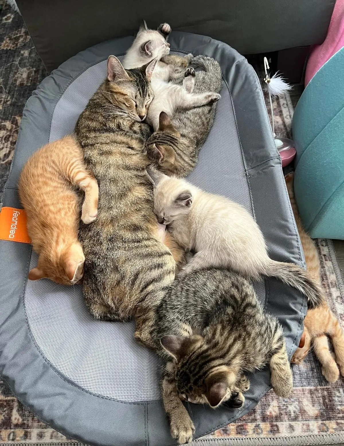 Kept the family together