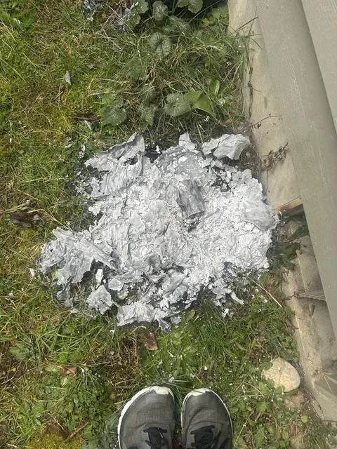 My mom burned all my drawings