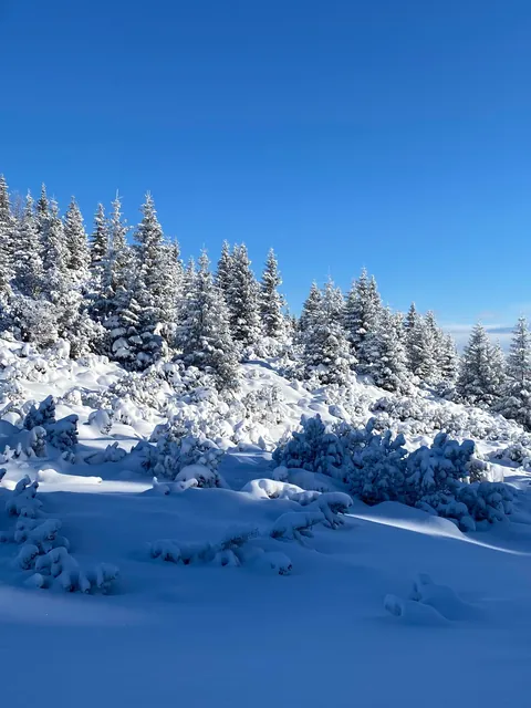 Four days in Poland (Warsaw, Krakow and Tatra mountains), late november 2024