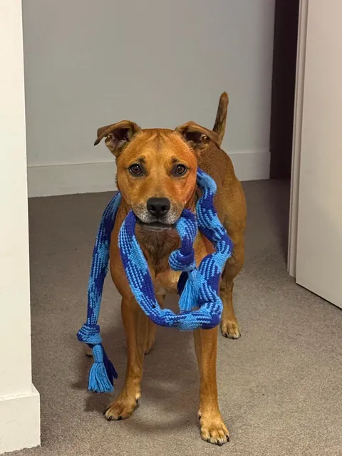 Hope Hector starts your weekend with a smile. And don’t forget to hug your fur babies