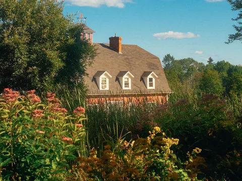 Nothing like a Vermont summer 🍎🛶⛰️