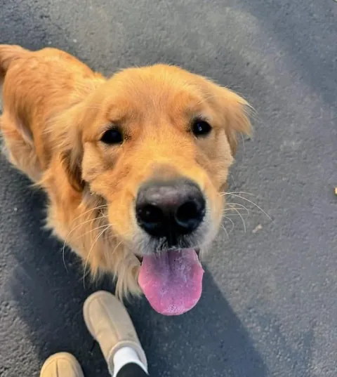 Up and smiling on a bright shiny day🐶😍