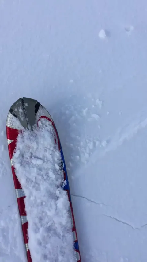 🔥 Tiny lemming trying to shelter under a ski