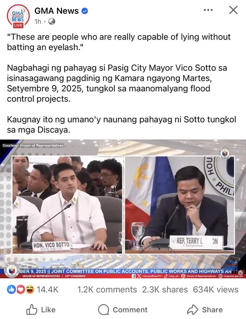 Mga DDS galit ka Vico Sotto