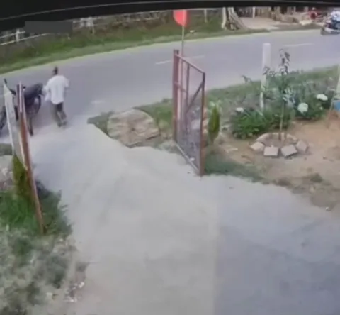 Dog: 'Where do you think you're going, hooman?' Man: initiates fence vault sequence...