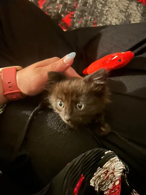 First day with us vs. now