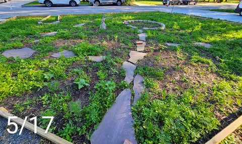 Pollinator garden UPDATE