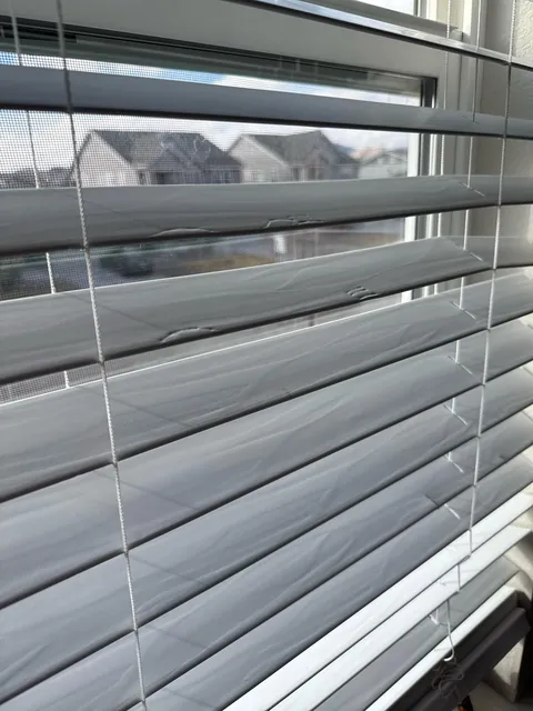 Why do my children act on their intrusive thoughts?