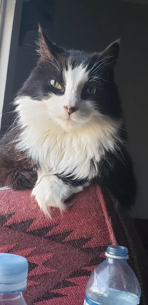 His final moments was this morning,  im broken.