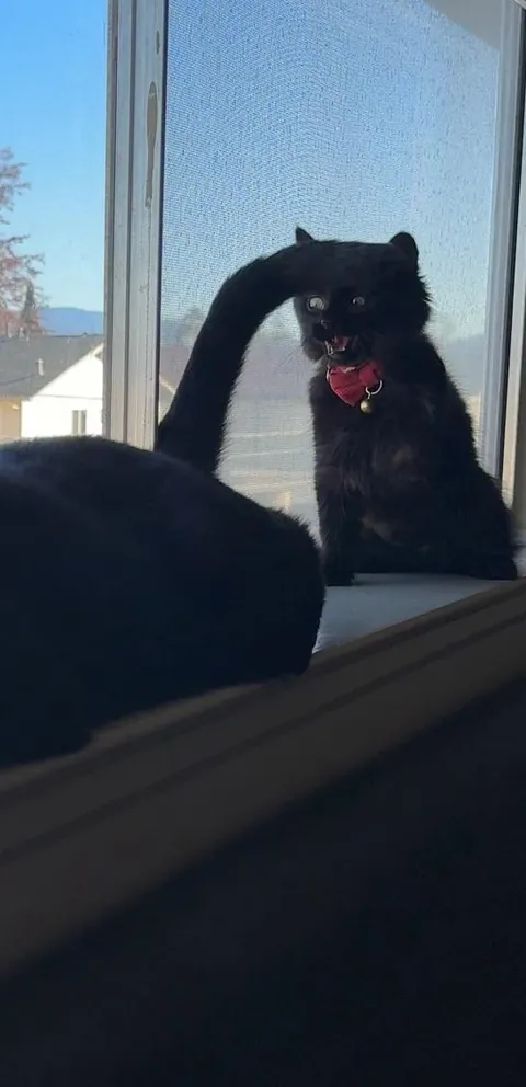 What would you name her?