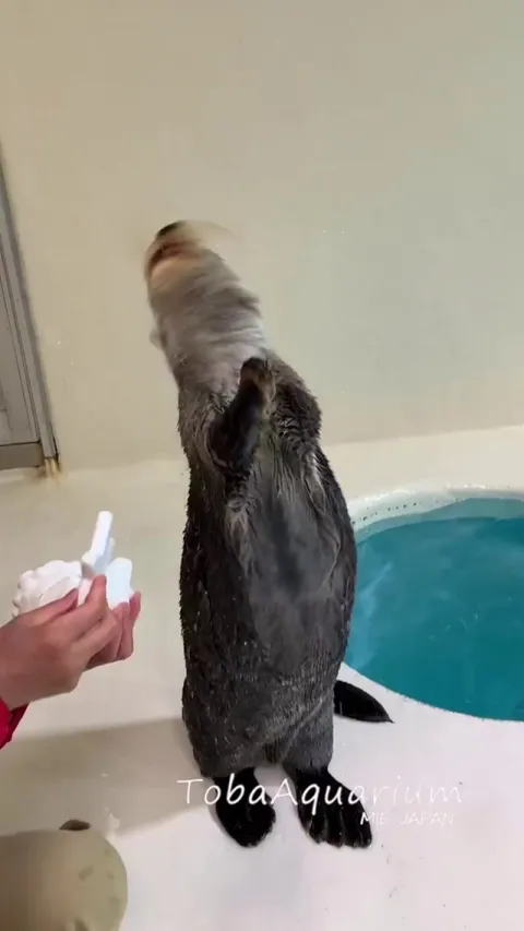 Can you help to put the toys away?